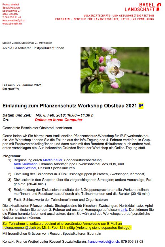 Einladung Online Workshop IP 8.Feb.2021