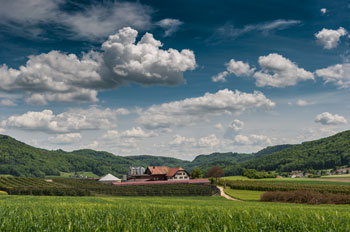 thumb 592737568c313d3130f57aa8;BL;Känerkinden;König;Werner